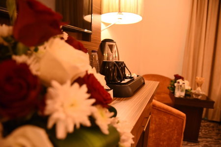 فندق قصر الاندلس الذهبي - Alandalus Golden Palace Hotel, Medina, Arabie saoudite