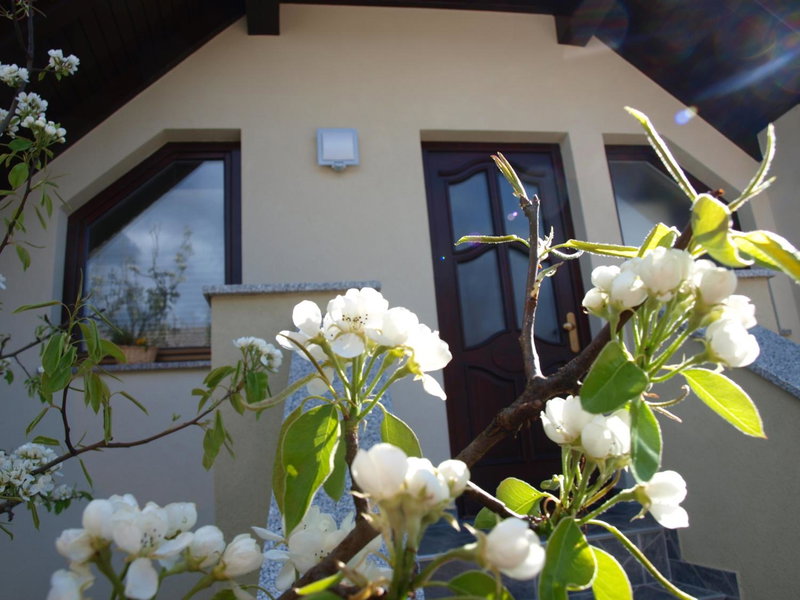 Apartment Knap, Cerknica, Slovenia