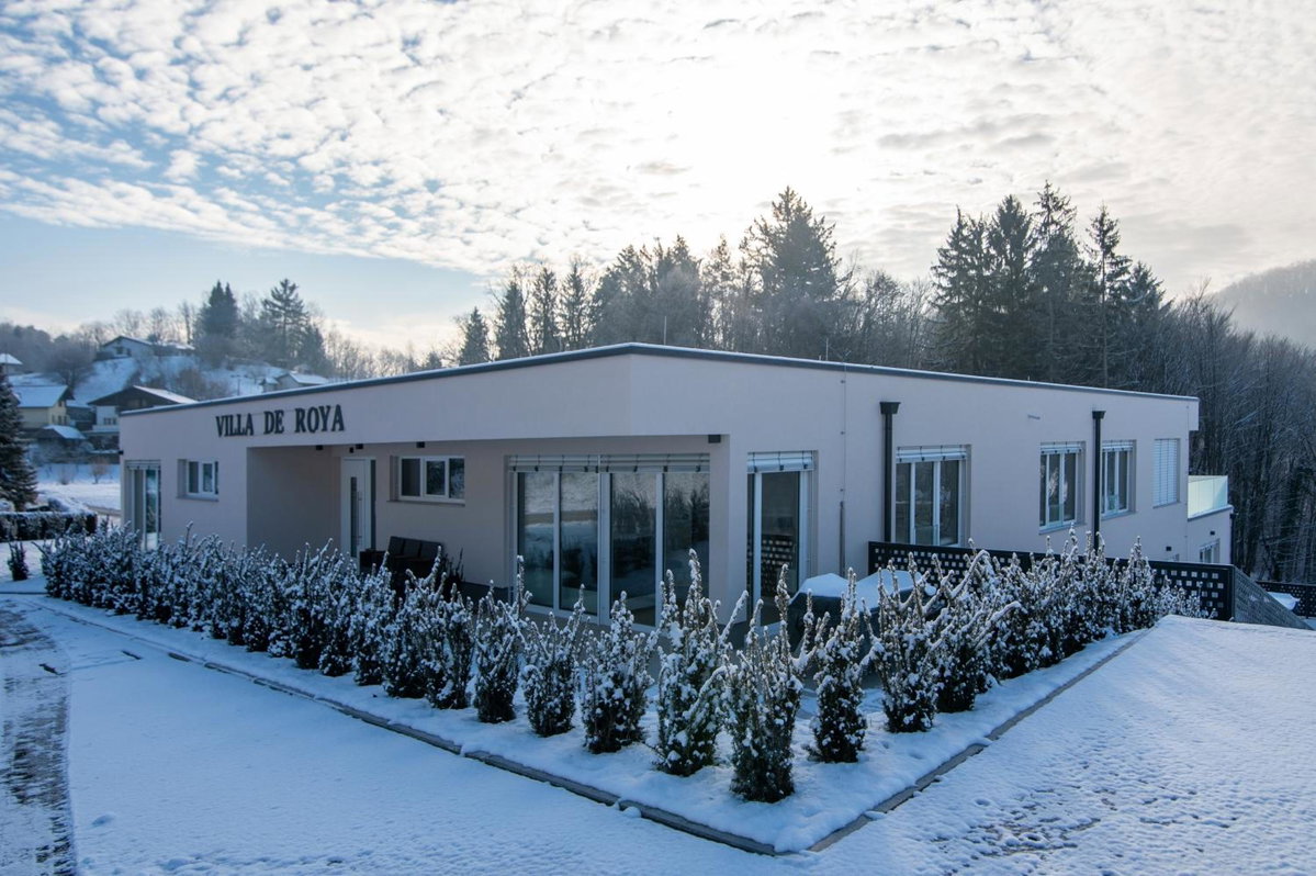 Hotel · Villa de Roya, Rogaška Slatina