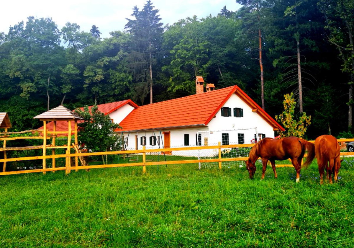Turistična kmetija Hiša ob gozdu pri Ptuju, Slovénie
