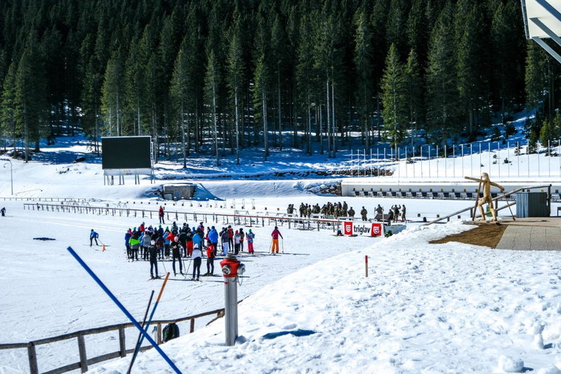 Cosy Lodge Pokljuka, Goreljek, Slovenia
