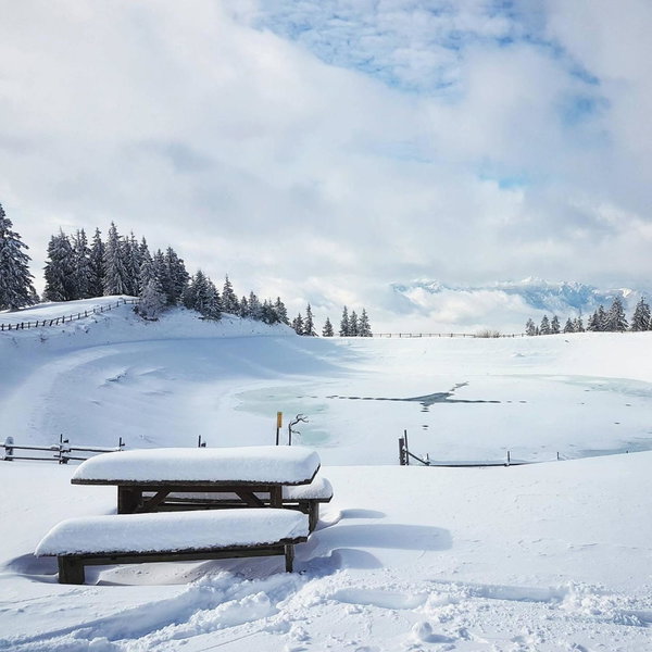 Farm Stay Loger, Ljubno, Slovenia
