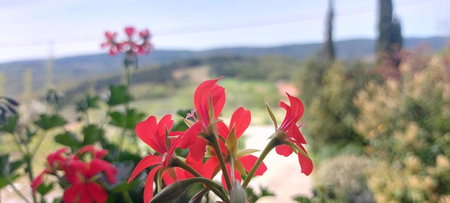 Bitini Farm Apartment, Koper, Eslovenia
