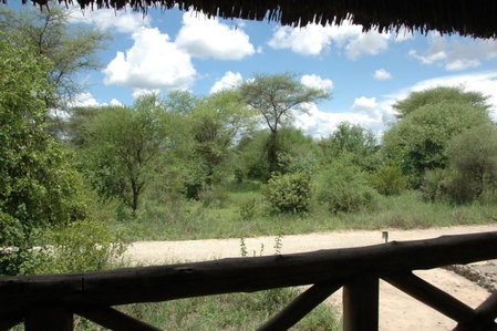 Roika Tarangire Tented Lodge, Kwa Kuchinia, Tanzania