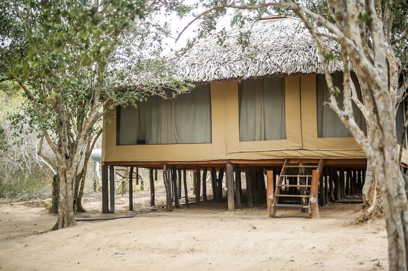 Yala Safari Camping, Kataragama, Sri Lanka