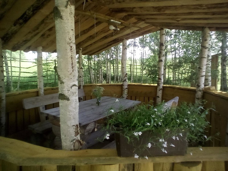 Viesu māja Kaķis krūzē, Daugavpils, Letonia