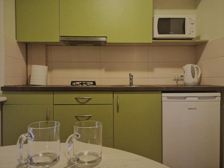 Kalniečiai park apartment, Kaunas, Lithuania