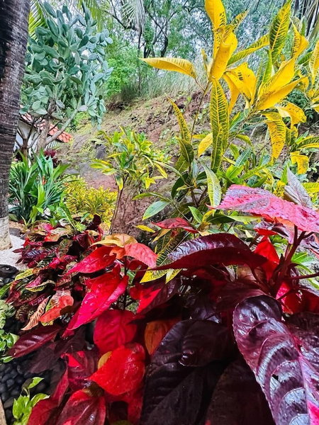 Hotel Ocotal B&B, Sardinal, Costa Rica