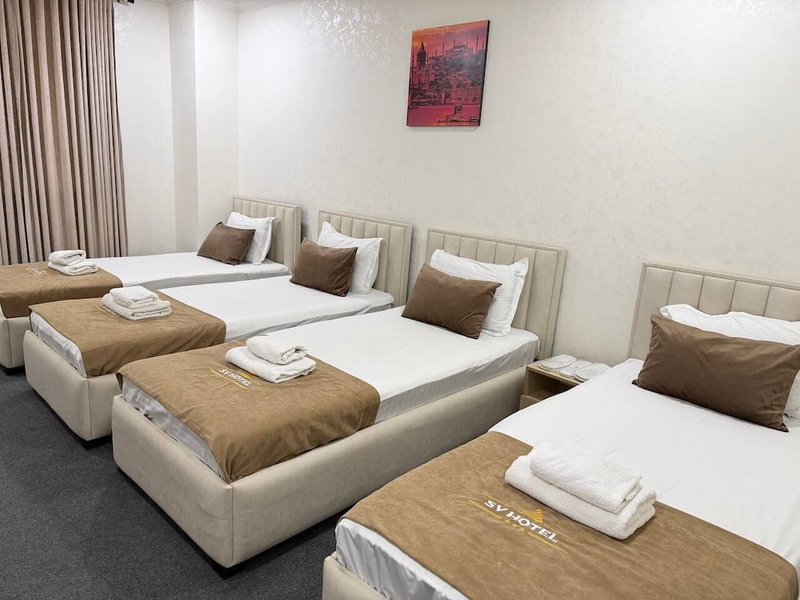 SV Stable Visitor Hotel, Tashkent, Uzbekistan