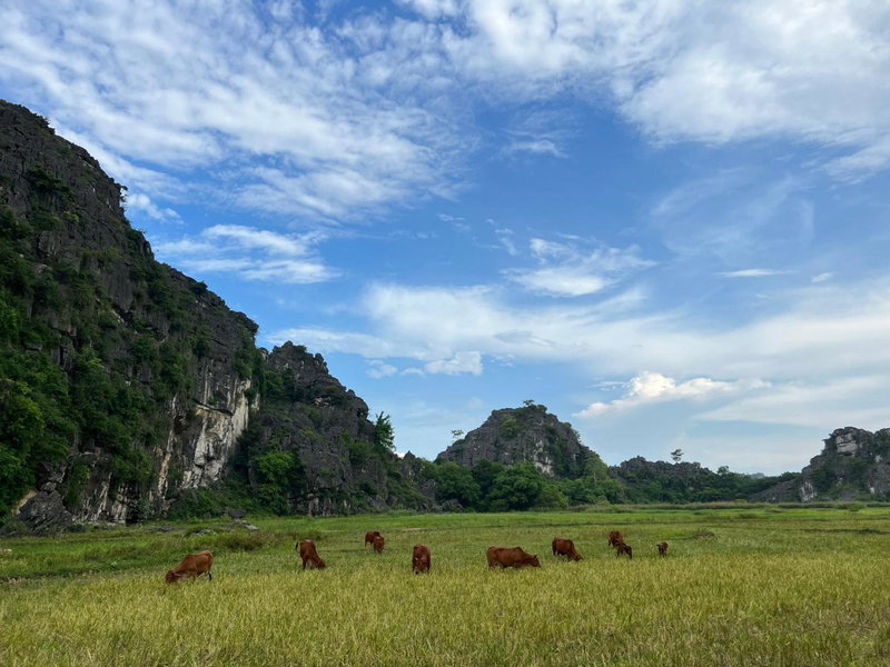 Ninh Binh Family Homestay, Ninh Binh, Вьетнам