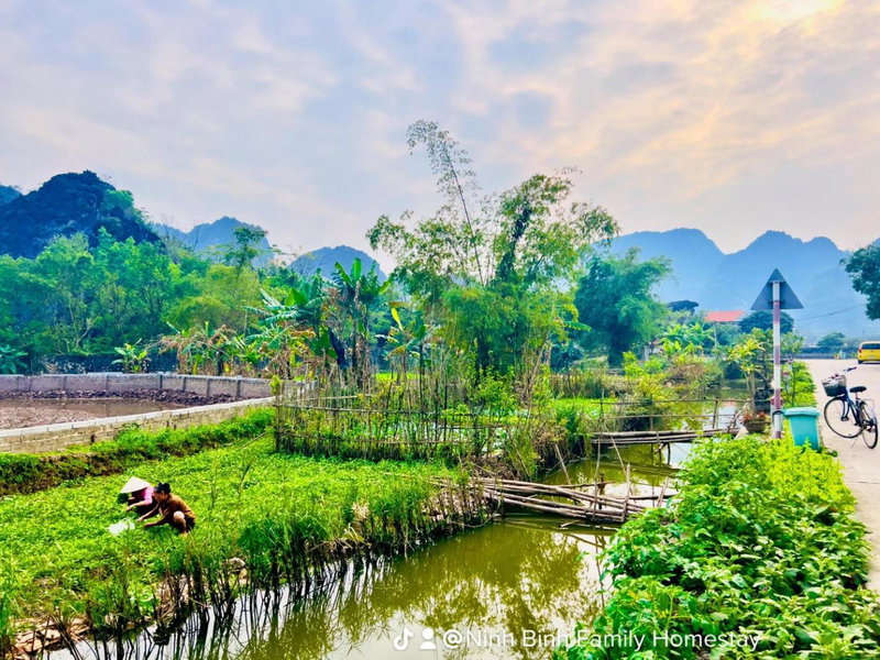 Ninh Binh Family Homestay, Ninh Binh, Вьетнам