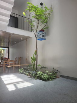 Noi Bai Flight Path Homestay, Quang Minh, Vietnam