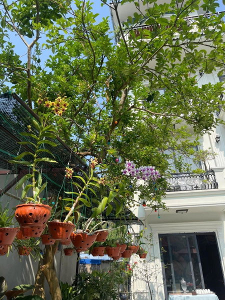 Lynh's Villa, Cat Ba, Việt Nam