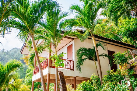 Venus Resort, Ko Samui, ประเทศไทย
