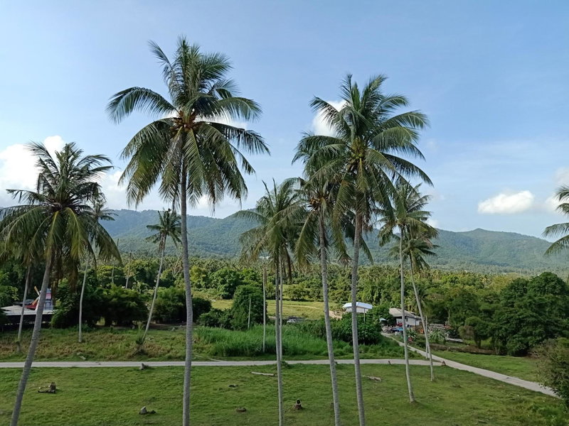 Amarin Samui Hotel - SHA Plus Certified, Ko Samui, Thaïlande