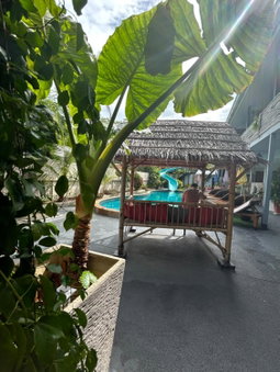 Samui Zenity, Ko Samui, Thaïlande