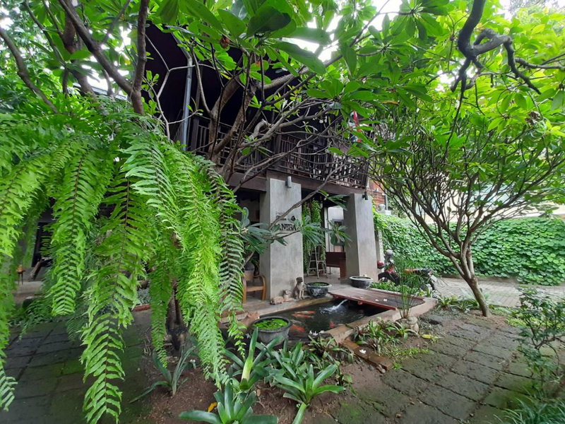 Baan Hanibah, Chiang Mai, ประเทศไทย