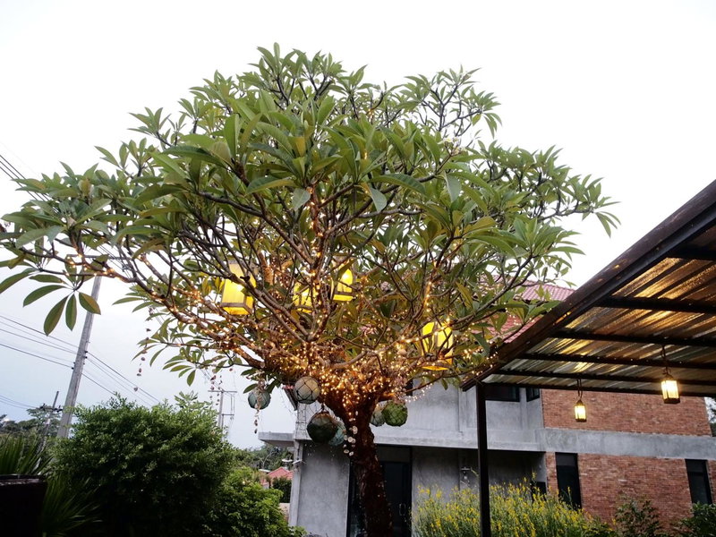 Tropicana Lanta Resort, Ko Lanta, ประเทศไทย