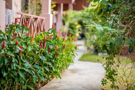La-or Resort, Hua Hin, ประเทศไทย