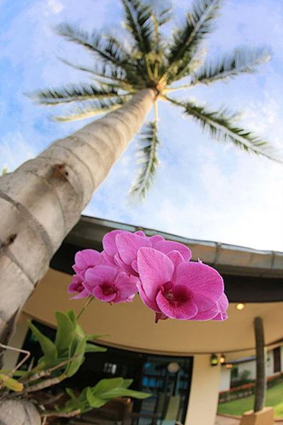 5 Bedroom Beachfront Villa SDV100-By Samui Dream Villas, Ko Samui, ประเทศไทย