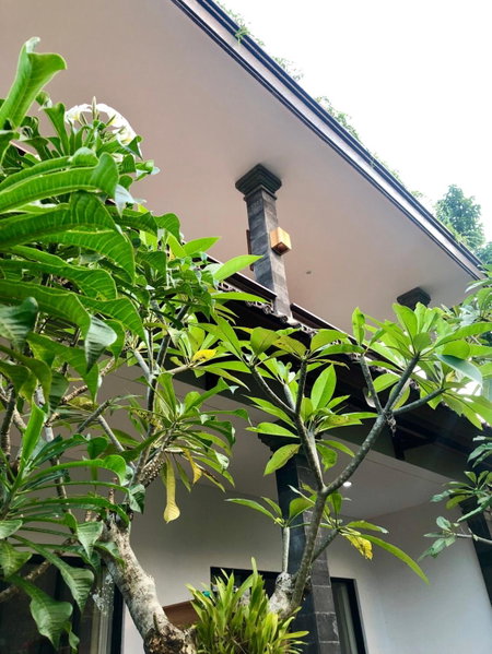 The Hidden Bali Inn, Ubud, Indonesia
