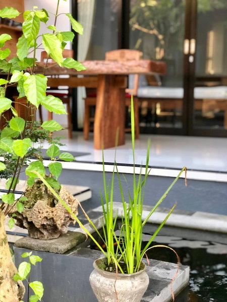 The Hidden Bali Inn, Ubud, Indonesia