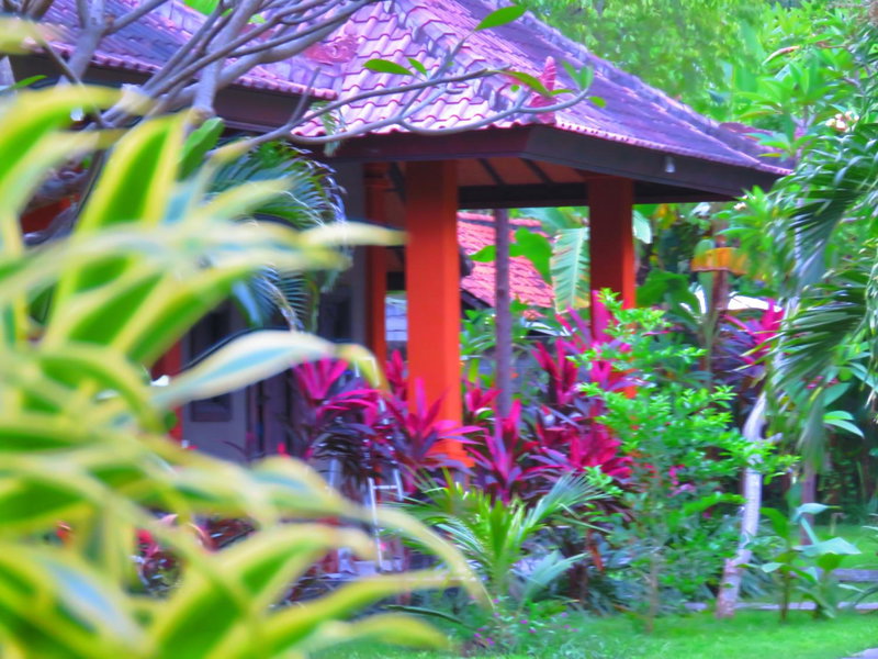 Suka Sari Cottages, Negara, Indonesia