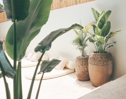 Arya Wellness - female only, Ubud, Indonesia