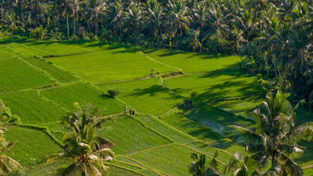 Lasamana Villas Ubud by GenuineHost, Ubud, Indonesia