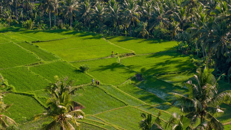 Lasamana Villas Ubud by GenuineHost, Ubud, Indonesia