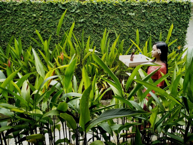 Griya Sriwedari, Ubud, 인도네시아 공화국