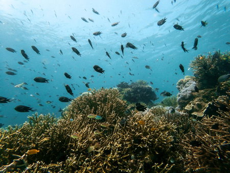 Menjaga Bay, Labuan Bajo, Indonésie
