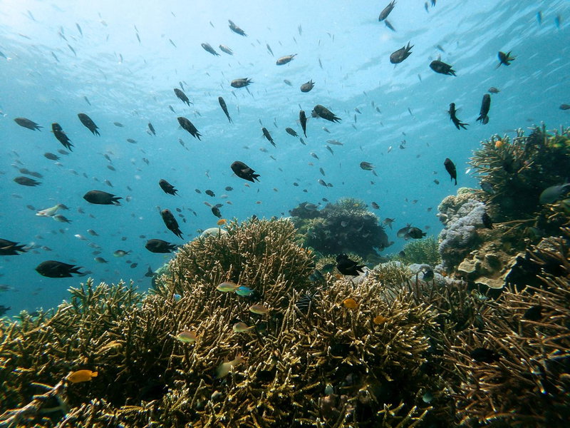 Menjaga Bay, Labuan Bajo, Indonésie
