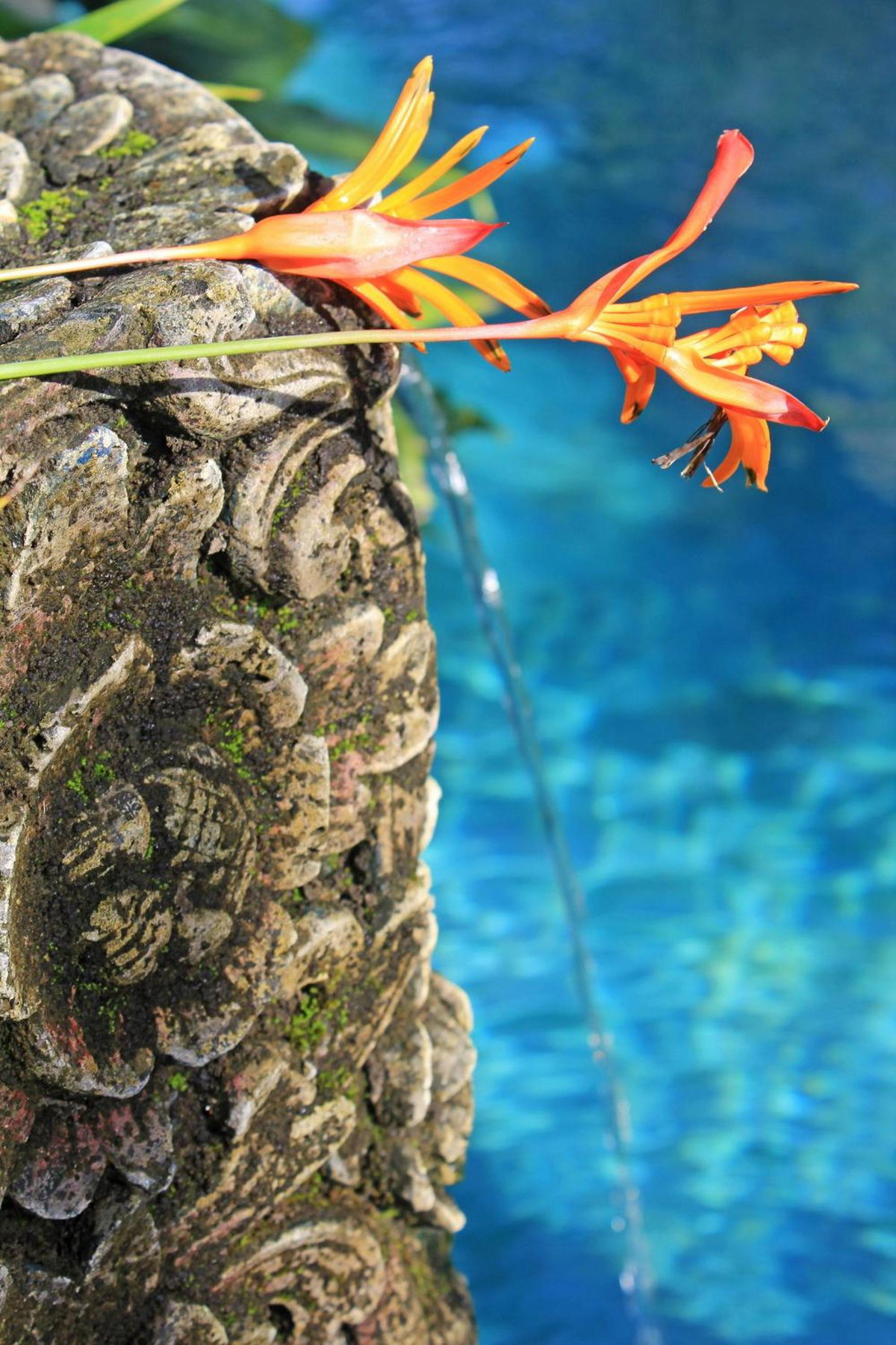 Hotel · Uma Karan, Kuta