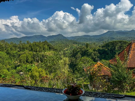 Shanti Natural Panorama View Hotel, Singaraja, Indonésie