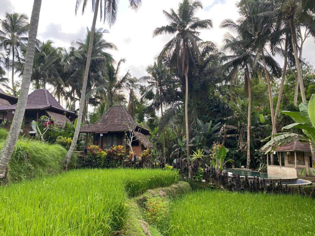 Hotel · Junjungan Suite, Ubud