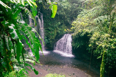 Jatiluwih Santya Loka Lodge & Twin Waterfall by Manara, Tabanan, 인도네시아 공화국