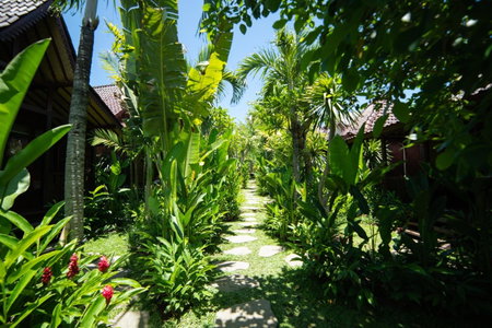 Kayu Village, Kuta, Indonesia