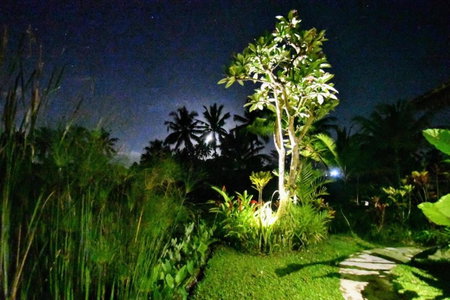 Villa Neyang, Ubud, Indonesia