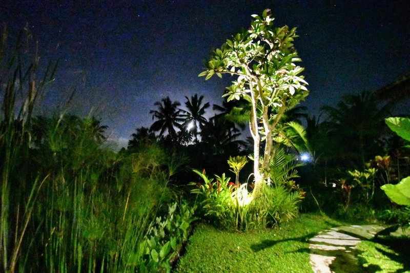 Villa Neyang, Ubud, Indonesia