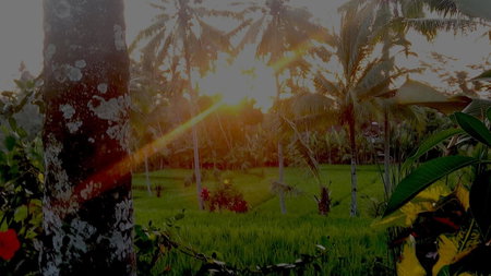 Villa Neyang, Ubud, Indonesia