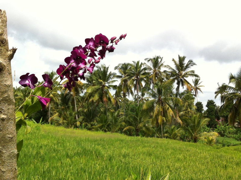 Villa Neyang, Ubud, Indonesia