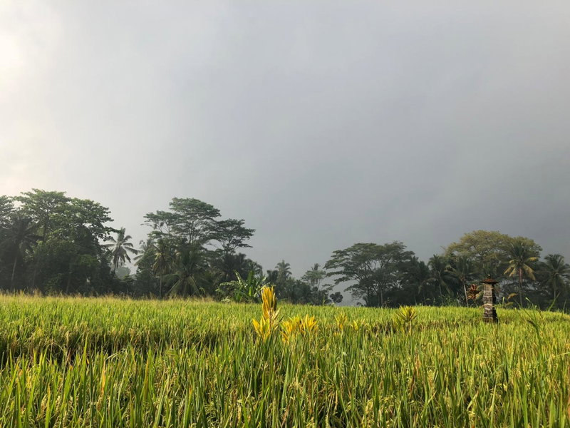 Villa Neyang, Ubud, Indonesia