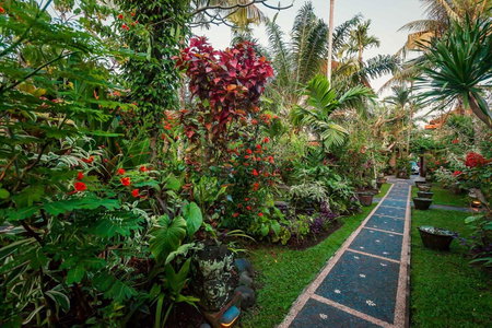 Ubud Inn Cottage by Prasi, Ubud, 인도네시아 공화국