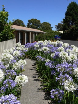 Begonia City Motor Inn, Ballarat, Australia