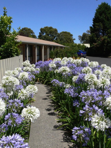 Begonia City Motor Inn, Ballarat, Australia