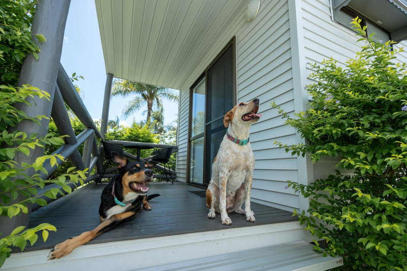 Tasman Holiday Parks - Hervey Bay, Hervey Bay, Australie