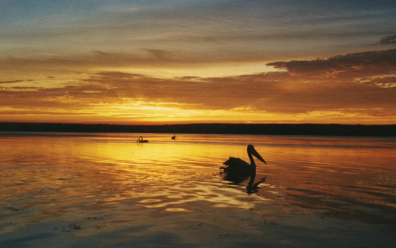 Sussex Shores, Sussex inlet, Australia