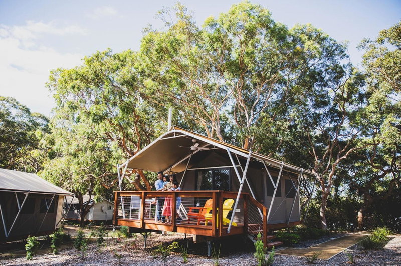 Port Stephens Koala Sanctuary, One Mile, Australia