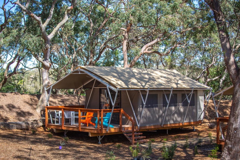 Port Stephens Koala Sanctuary, One Mile, Australia